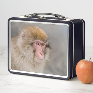 Mono de nieve marrón, fotografía japonesa