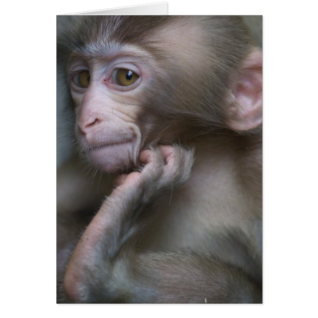 Mono del bebé (Frente)