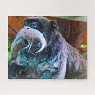 Mono del Emperador Tamarins. Rompecabezas