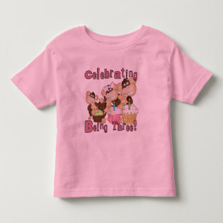 Mono Fiesta Rosado 3 camisetas de cumpleaños y reg