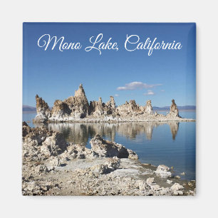 Mono imán de California del lago de Jacoba Kruse
