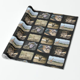 Mono, león y papel de regalo lindos de las jirafas