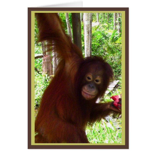 Mono para la sandía (Frente)