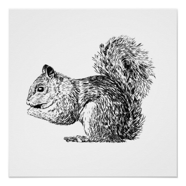 Monochrome Squirrel poster (part of a set) (Anverso)