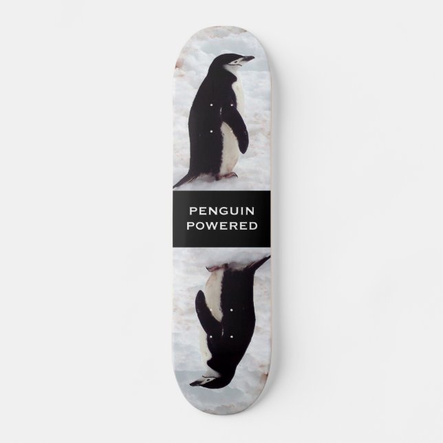 Monopatín accionado pingüino (Anverso)