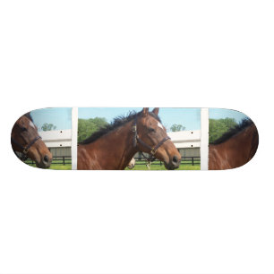 Monopatín árabe alerta del caballo
