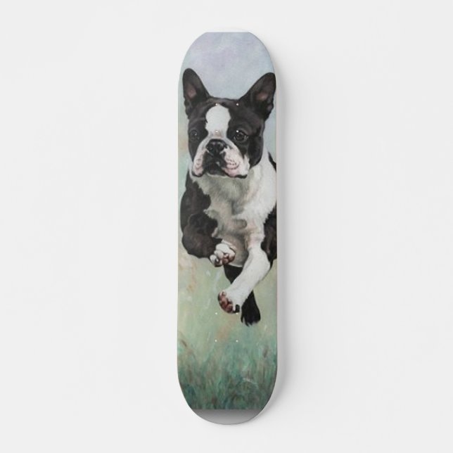 Monopatín de Boston Terrier (Anverso )