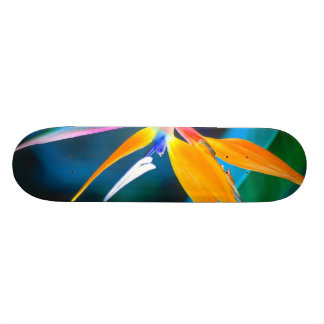 monopatín de Hawaii de la ave del paraíso
