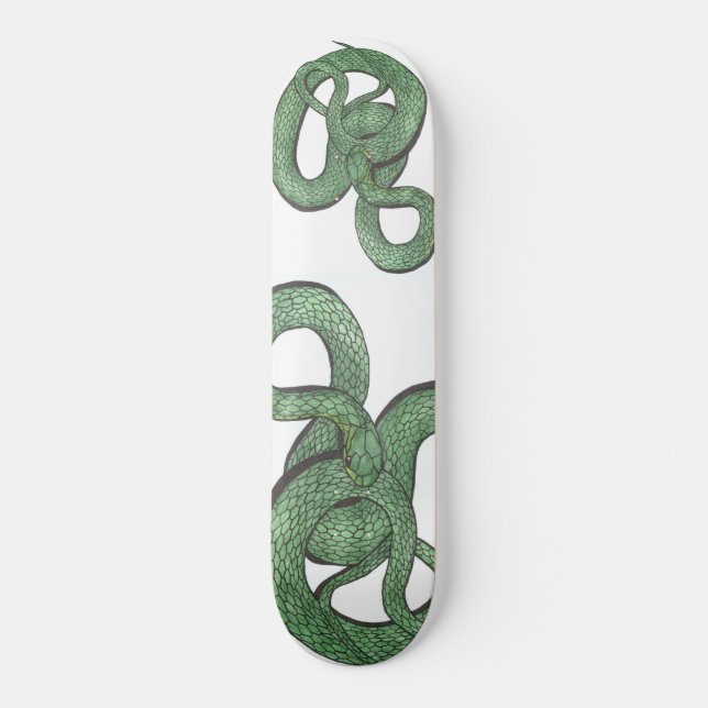 Monopatín de la serpiente (Anverso)