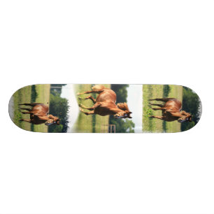 Monopatín del caballo de la castaña