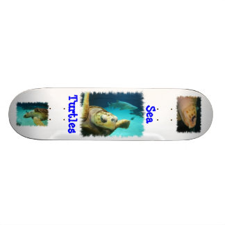 Monopatín del diseño de la tortuga de mar