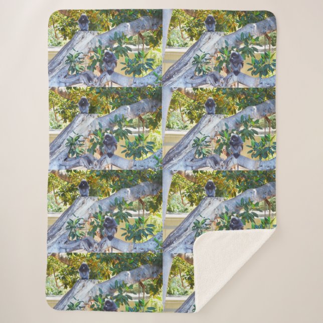 Monos de Langur Negro comiendo, gran manta Sherpa (Anverso)