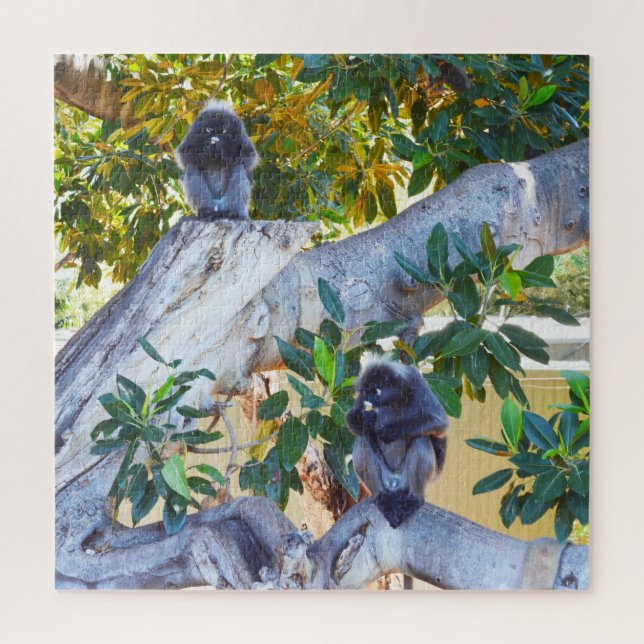 Monos de Langur Negro comiendo, rompecabezas (Vertical)