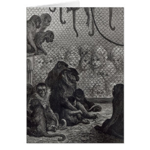 Monos de London