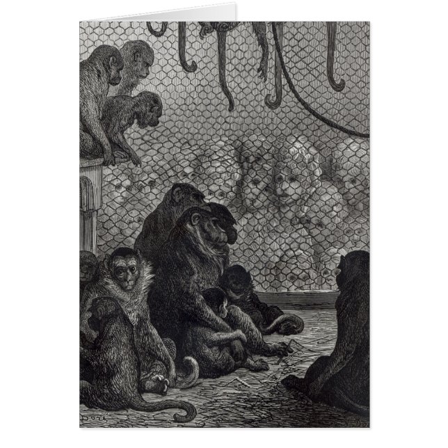 Monos de London (Frente)