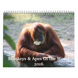 Monos y simios del Calendario Mundial 2016