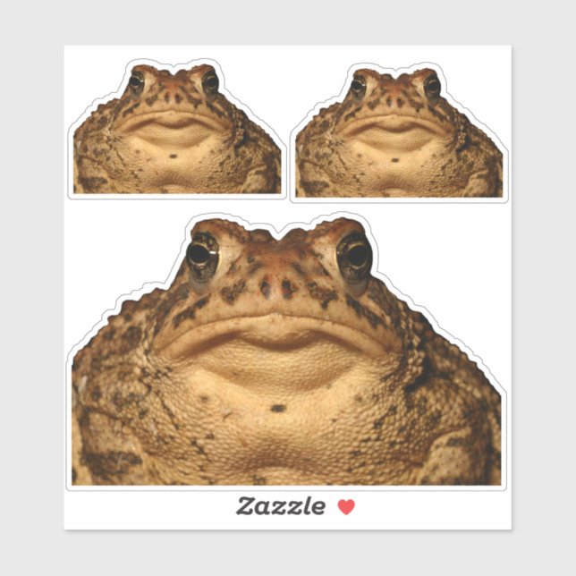 Monster Toad Pegatinas (Hoja)