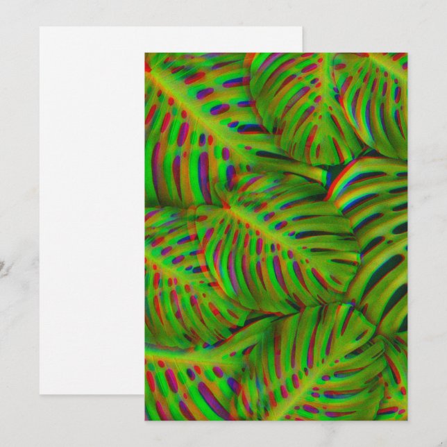 Monstera arcoiris deja postal (Anverso / Reverso)