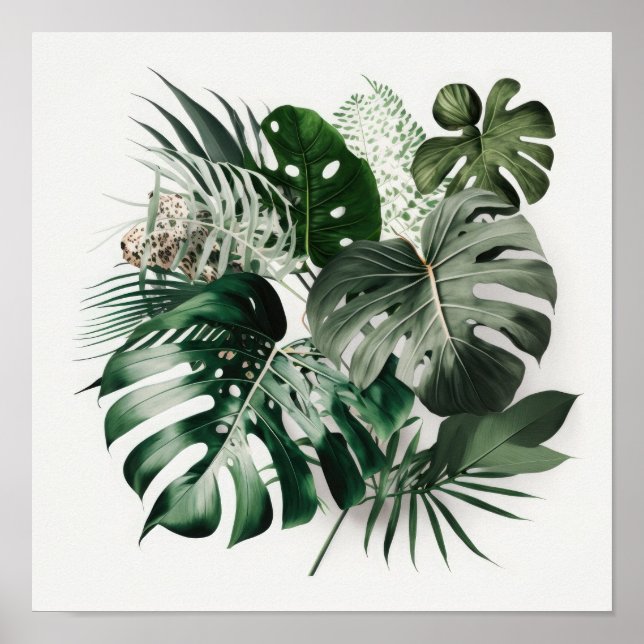 Monstera deja el Poster de impresión de arte (Frente)