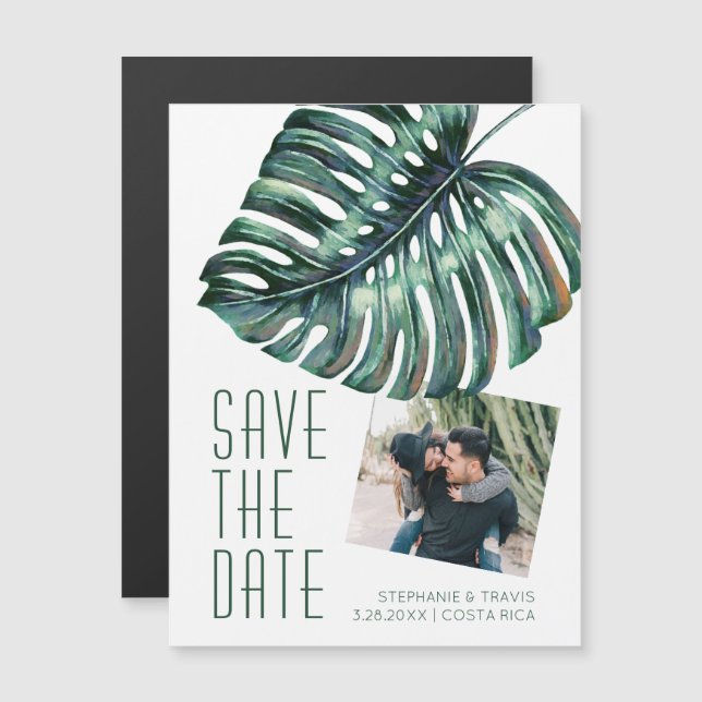 Monstera Tropical Moderno Ahorra El Imán De La Fec (Anverso/Reverso)