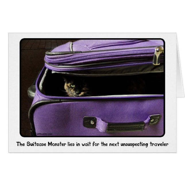 Monstruo de la maleta del gato de la concha (Anverso (Horizontal))