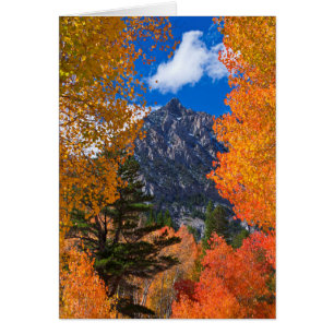Montaña enmarcada en follaje de otoño, CA