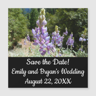 Montaña Lupins en Yosemite