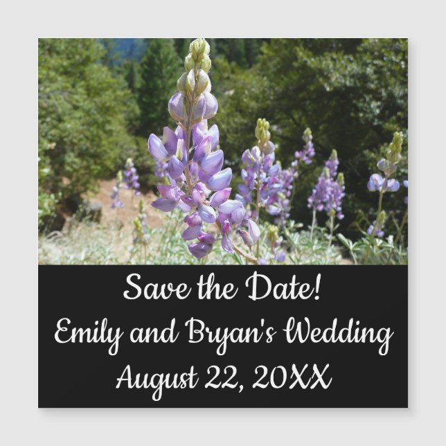 Montaña Lupins en Yosemite (Anverso)