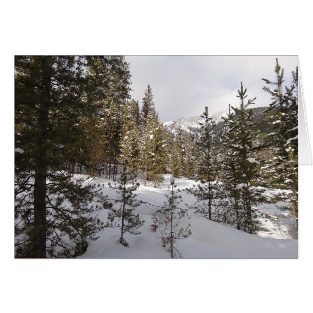 Montaña nevada de invierno en Montana (Anverso (Horizontal))