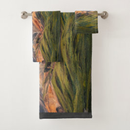 Montaña policromada, Denali NP, Alaska