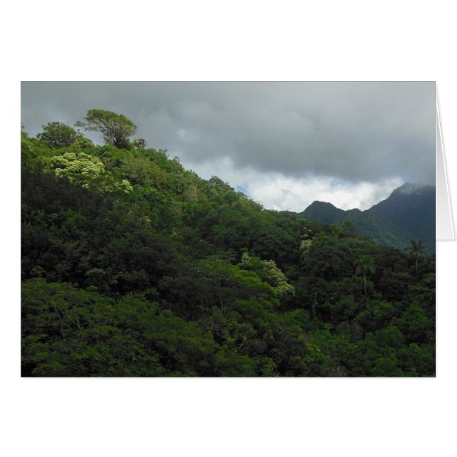 Montañas Koolau (Anverso (Horizontal))