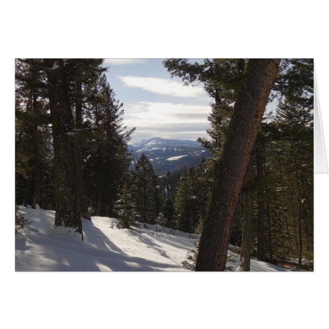 Montañas Madison en invierno en Montana (Anverso (Horizontal))