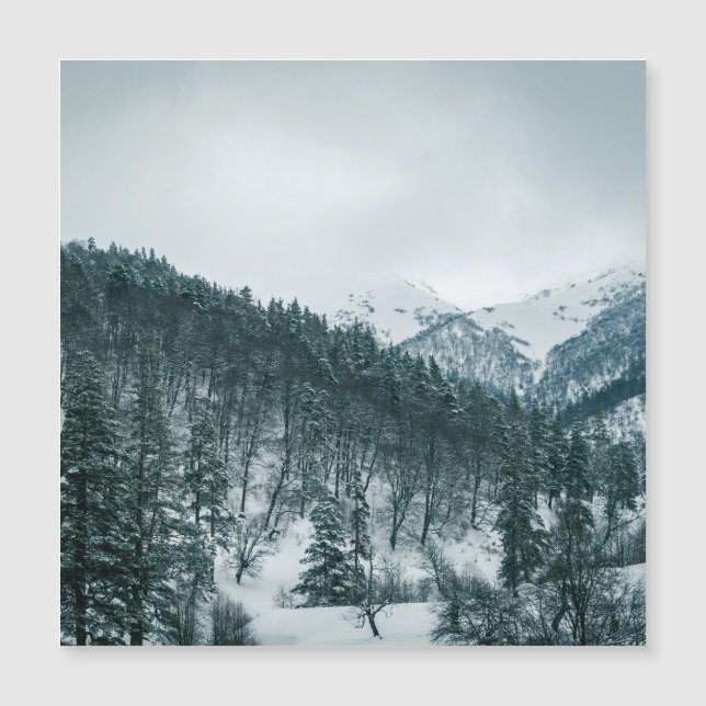 Montañas nevadas de Georgia (Anverso)