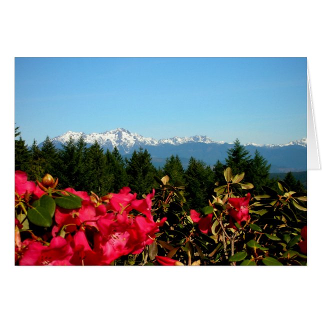 Montañas olímpicas y rododenrones (Anverso (Horizontal))