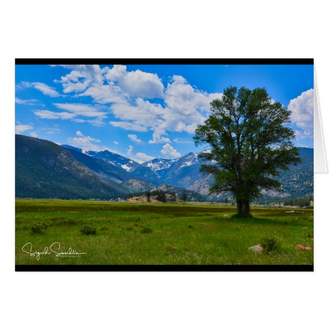 Montañas rocosas (Anverso (Horizontal))
