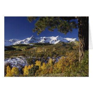 Montañas San Juan y árboles ápicos en color de llu