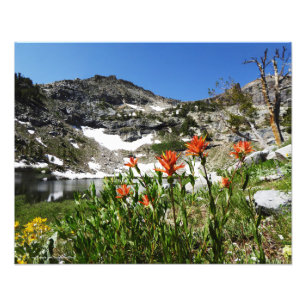 Montañas, Wildflowers, impresión 20" de la foto