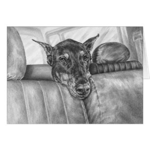 Montar a caballo del Doberman en el dibujo del