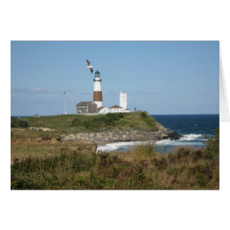 MONTAUK Lighthouse Seagull Love
