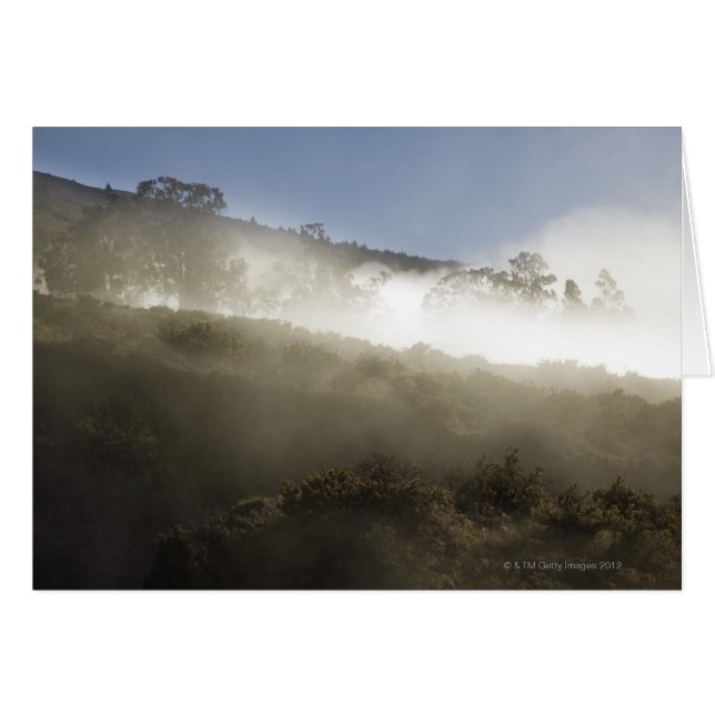 Monte Haleakala, Maui, Hawaii, EE.UU. 2 (Anverso (Horizontal))