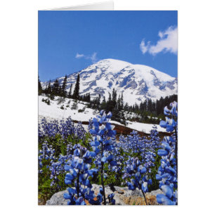 Monte Rainier en el punto de paraíso