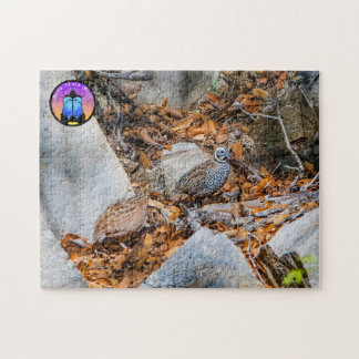 Montezuma Quail Jigsaw rompecabezas