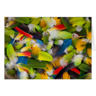Montón de plumas coloridas