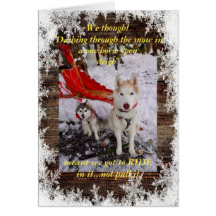 Montura de trineo Husky