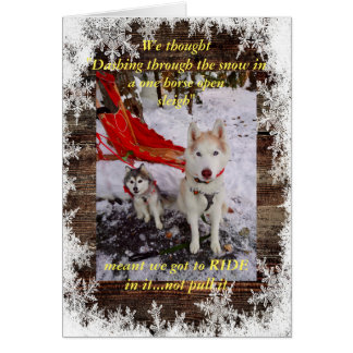 Montura de trineo Husky