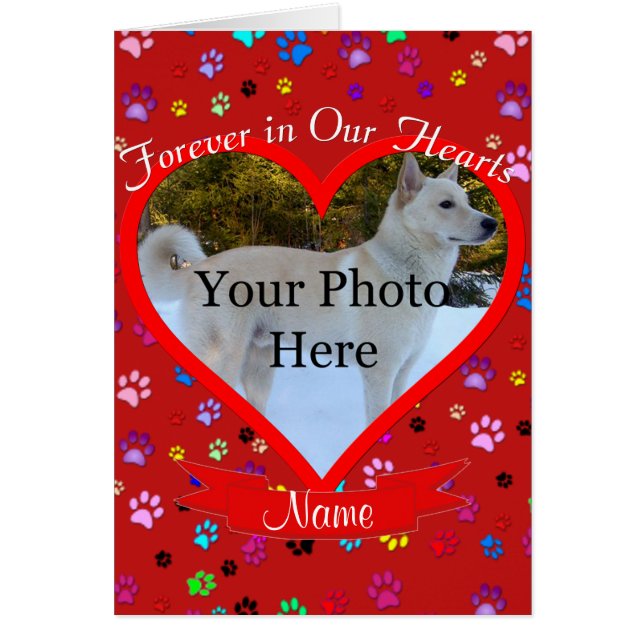 Monumento a los mascotas por siempre en nuestros c (Frente)