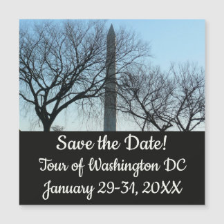 Monumento a Washington en el paisaje invernal I