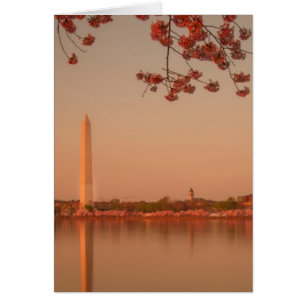 Monumento a Washington Sakura al atardecer.