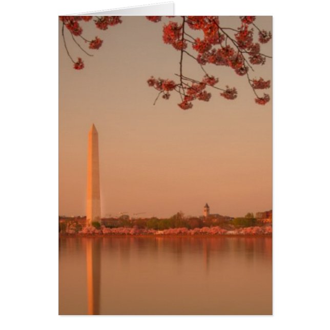 Monumento a Washington Sakura al atardecer. (Frente)