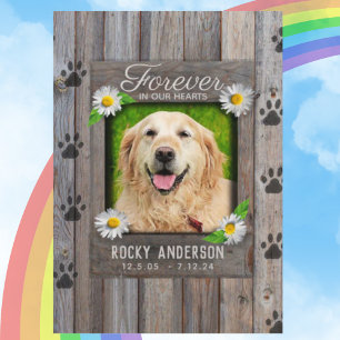 Monumento al perro con tarjeta de poema Rainbow Br
